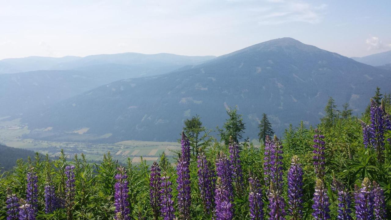 Villa Mountain View With Waterbed Sankt Michael im Lungau Luaran gambar